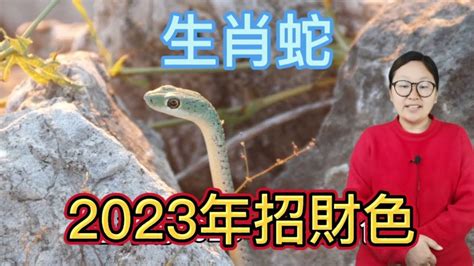 屬蛇的幸運色|【屬蛇幸運顏色】屬蛇者快看！專屬幸運顏色及忌諱，讓你財運亨。